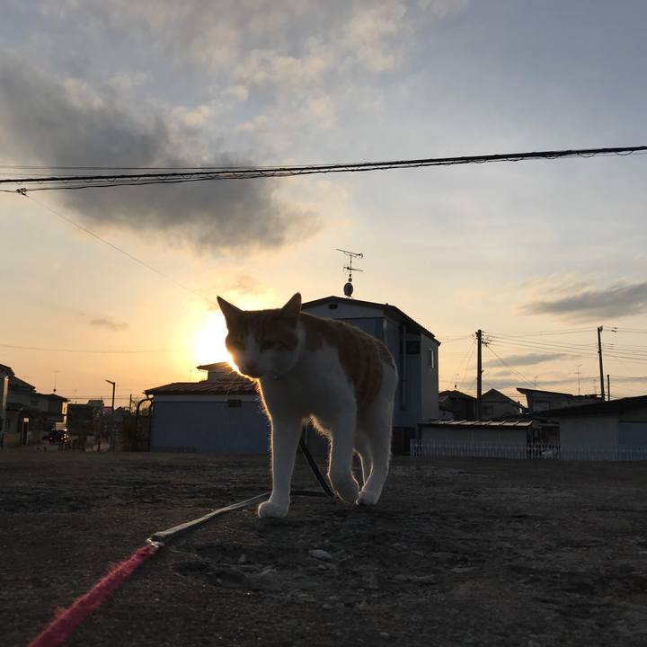 6495a29b a061 46d9 ab8e 0a2d922e4ae8 1518778595042