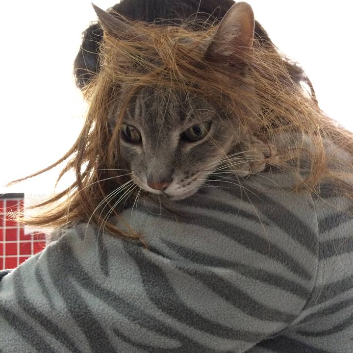 6495b60a 81ca 4dbf b39d 3df001a6b6cc 1533577944504