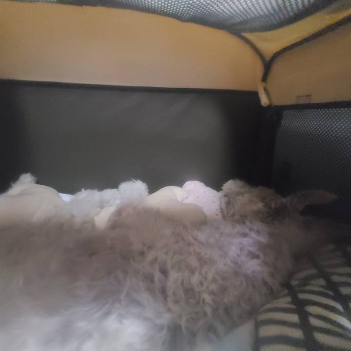 6495ec26 ad62 4d87 adf5 4e2a627a665d 1719735922966