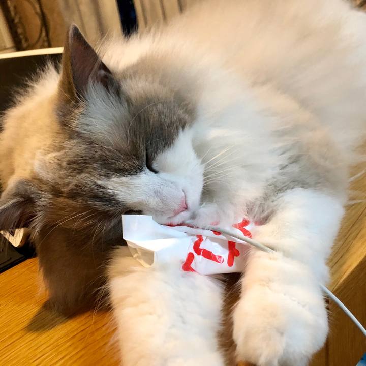 649619bf a9bd 4d43 910c 151f4cc524a5 1623928731309