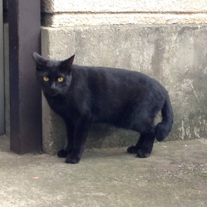 64963d05 4834 4960 a4be b0eadc6fad1e 1509810460291