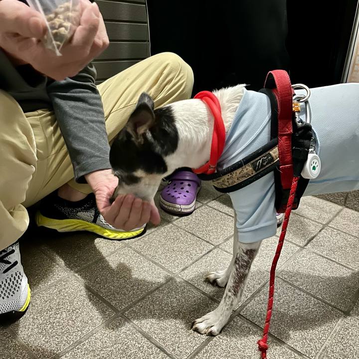 649640d7 414f 4f52 8a09 d55b103b7873 1655724872681