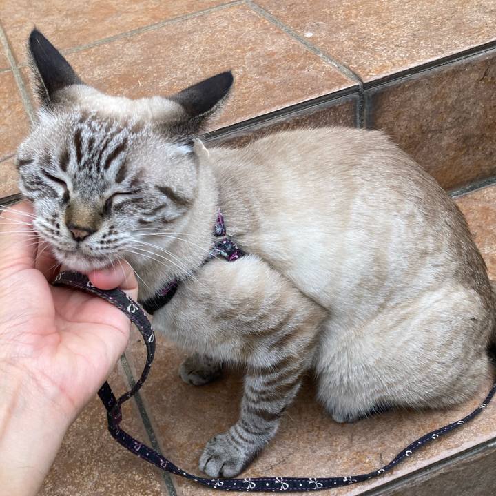 64966128 6402 48e1 8acf 06089e44a87f 1765771474014