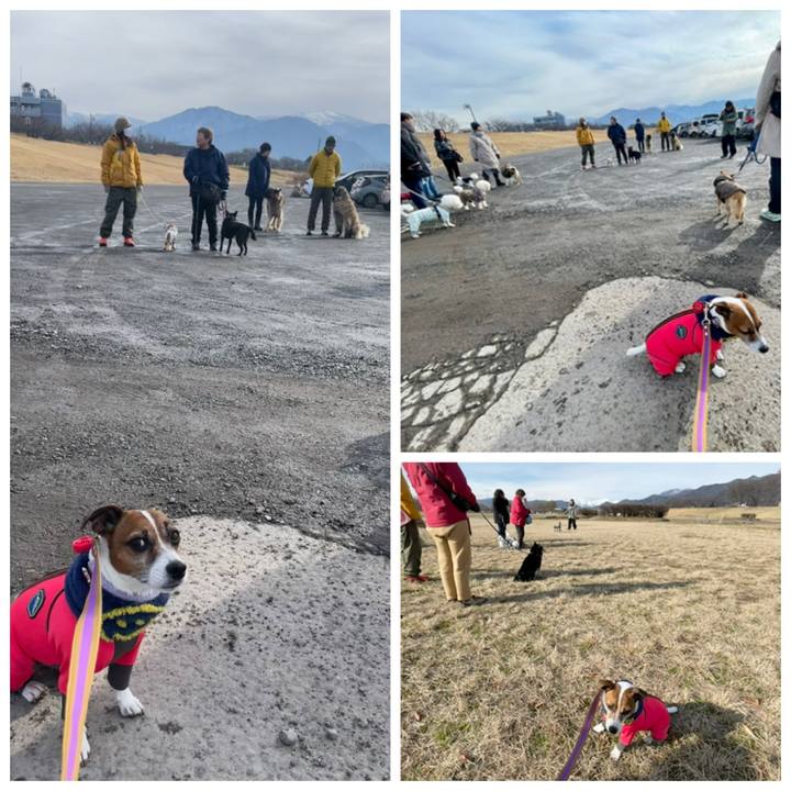 64969aa2 86e8 46d0 9b05 d60f20043e5d 1736663225934