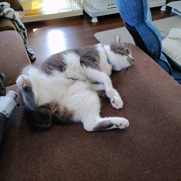 64969d31 7d91 49f4 84bf 48f84c849627 1723609930510