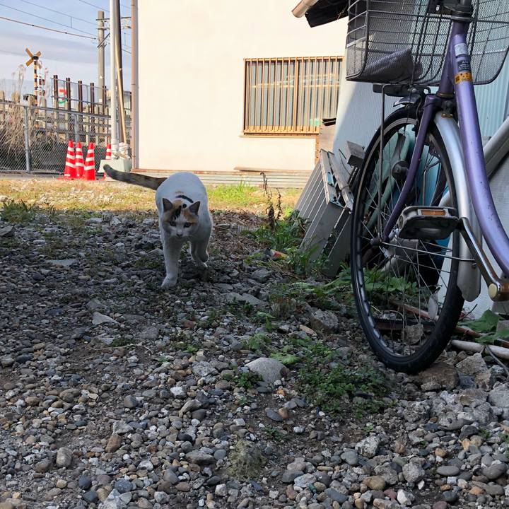 6496a15f f2c5 4143 b30a d541fe62054f 1553089134661