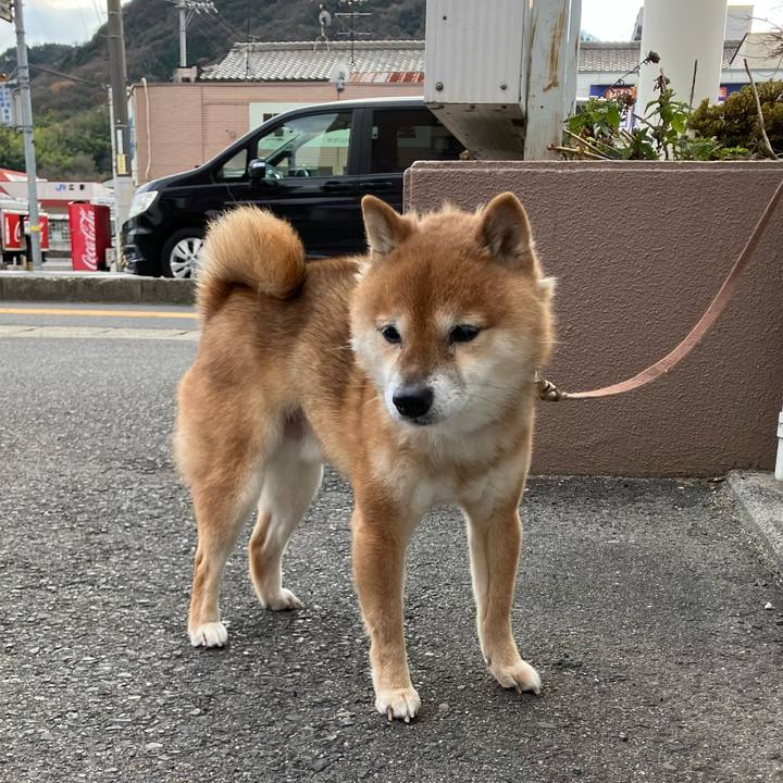 6496a2ed 7115 4c94 8af8 20f0e919db0b 1766834710554