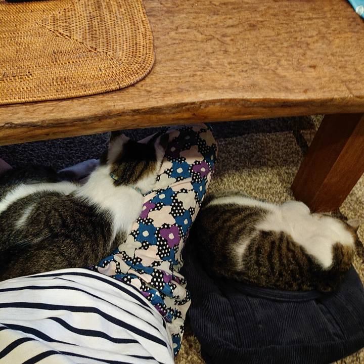 6496f072 6ae6 40f4 95fd f6874ebf60c4 1559468899980