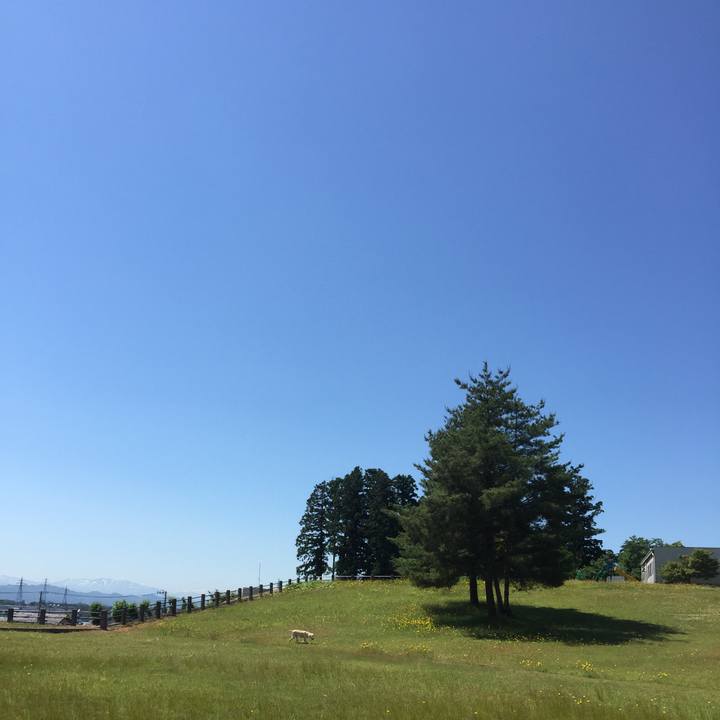 6496f4ca ec58 4df2 9861 4214415cee96 1554869613617