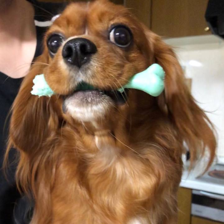 64972c42 1ab5 42a2 9b8f a56c2a13dd59 1543936278816