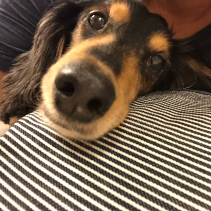 6497643a 8e82 47e6 a96b ca82c8e7c00e 1570026848302