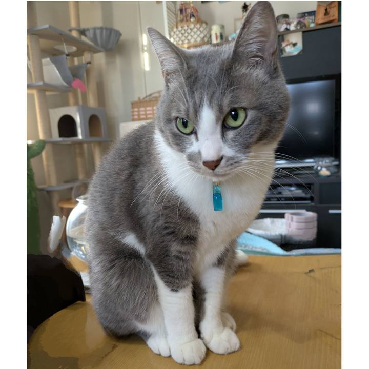 64977fd3 4dbb 4aae 8b71 36dff55804d6 1734653479219