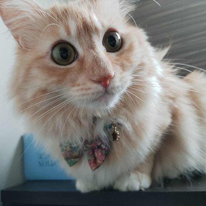 649805b6 e564 4d15 a23a 462ebc6cc32e 1661555445541