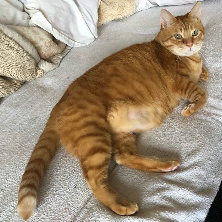 64981451 8bf3 4f19 a5dd 84e974f2ae02 1619307808703