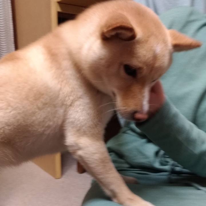 6498399a 2d25 4273 b277 dba5fe9bb2b4 1556018230670