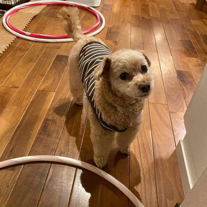 64986290 bda2 4ef5 85eb 7f769e289a99 1580547105974