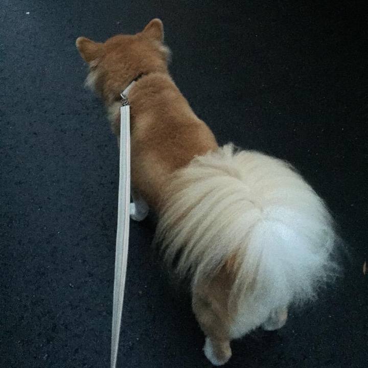 64988fbf fcb7 4d85 8ab4 cd0f562745be 1508373948159