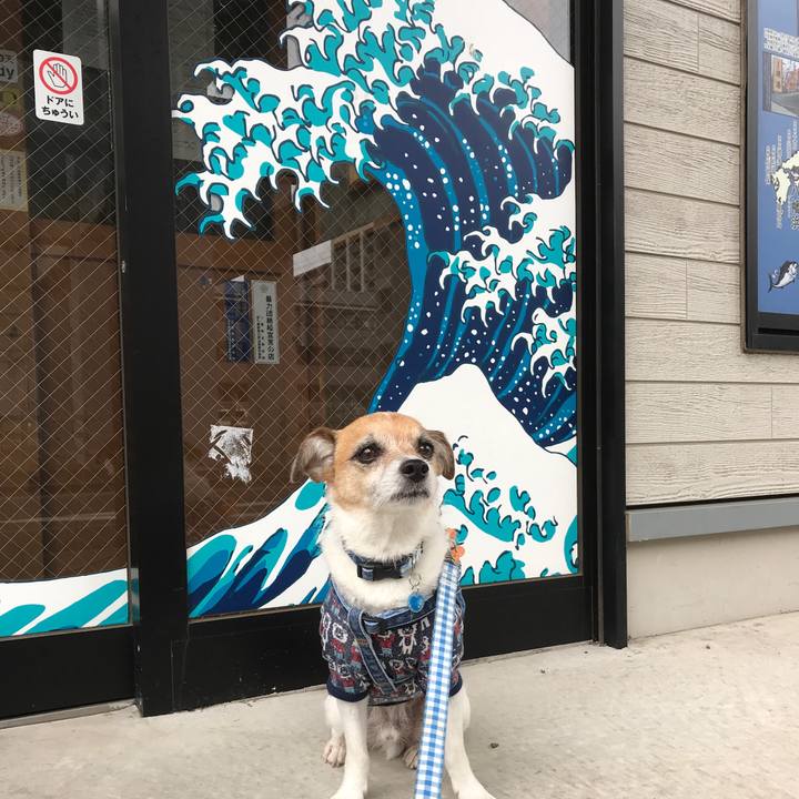 64989770 fd0b 4190 9c24 39b5c4b0c6e1 1589773512213