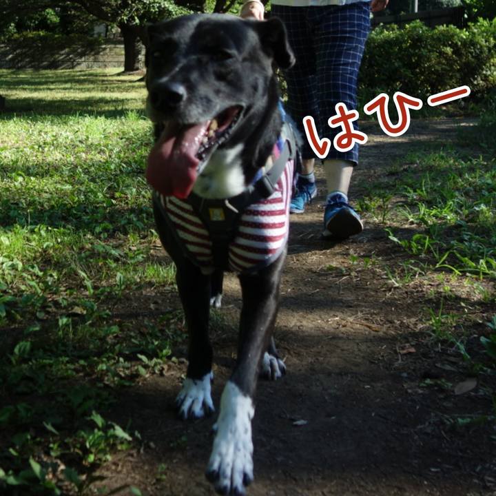 64989c3f f24f 44a0 91e2 47dca2afdabc 1658706107586