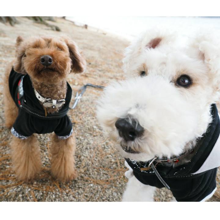 6498fa30 74b9 4bb7 85c2 98168f7327dd 1515480618482