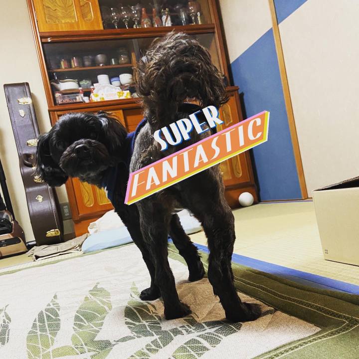 6498fc7a a9c9 41ff 832e 7d7ab18f7e51 1588160775161