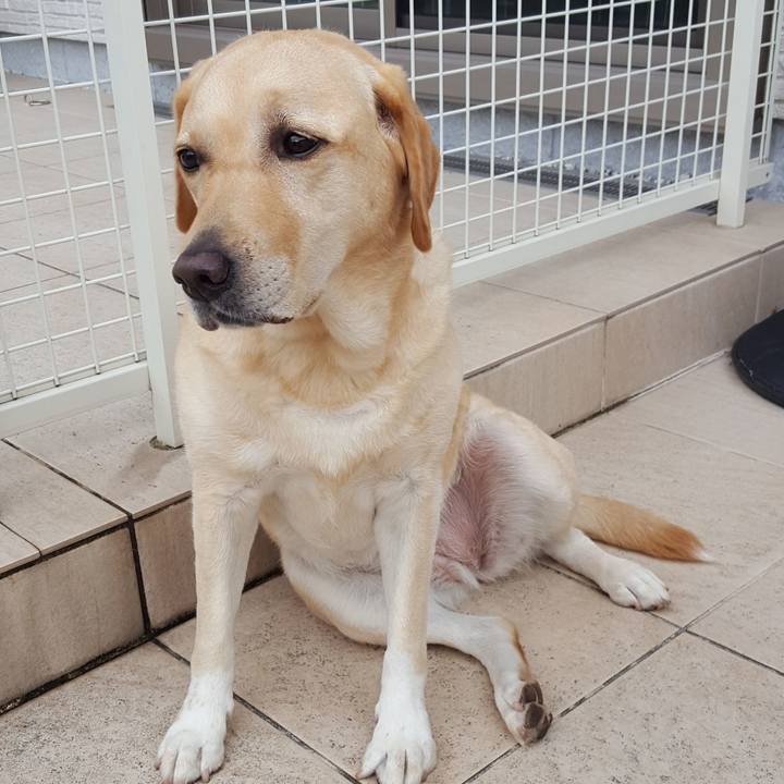 64990de5 d02b 4147 8bd3 21a448e5b8dc 1538282421073