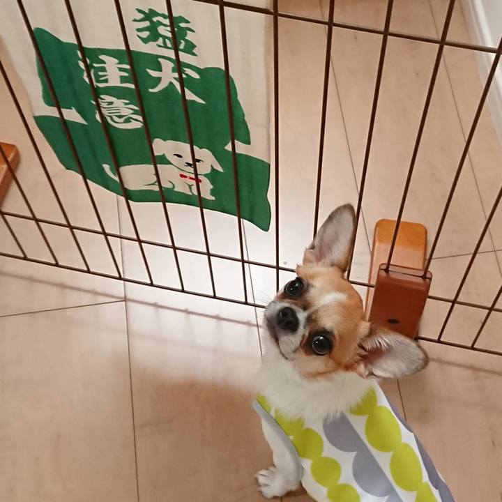 649912a2 1396 4a6b a46c 96f6dad8c021 1564009289647