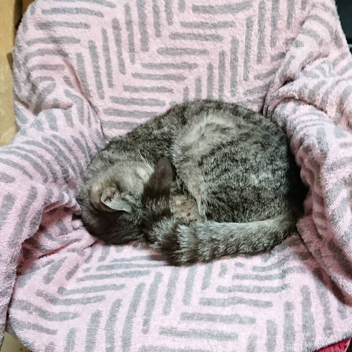 64994ca6 6556 4278 b664 597f73ce1a2a 1590356730234