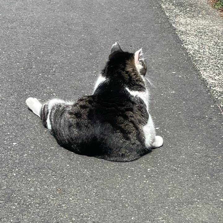 64994fd2 f6fb 4f43 9d59 3dc4d72b0446 1646992923454