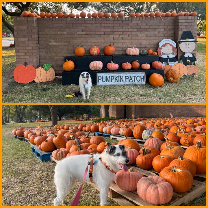 649954d3 ef52 4842 9879 44cc7a3fad5c 1665525528679