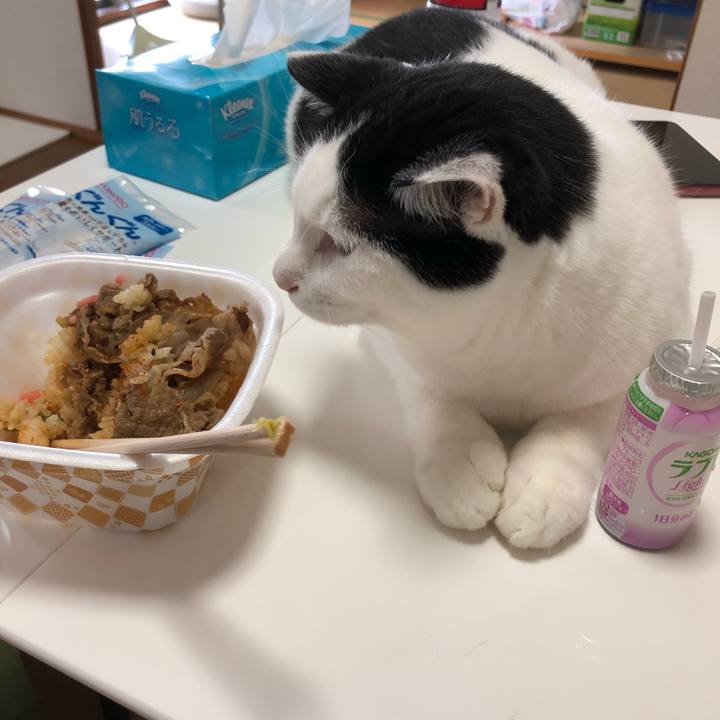 6499975b 6680 4c0d a358 0a9d30e00a25 1596435925859