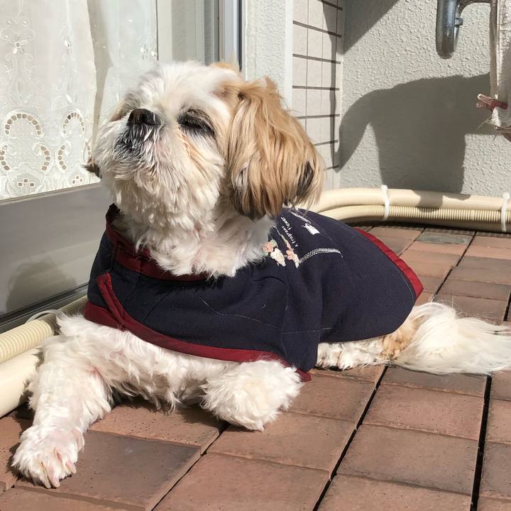 6499a5b2 1f8b 4d0f a7af 8511b17e8cb1 1550612906806