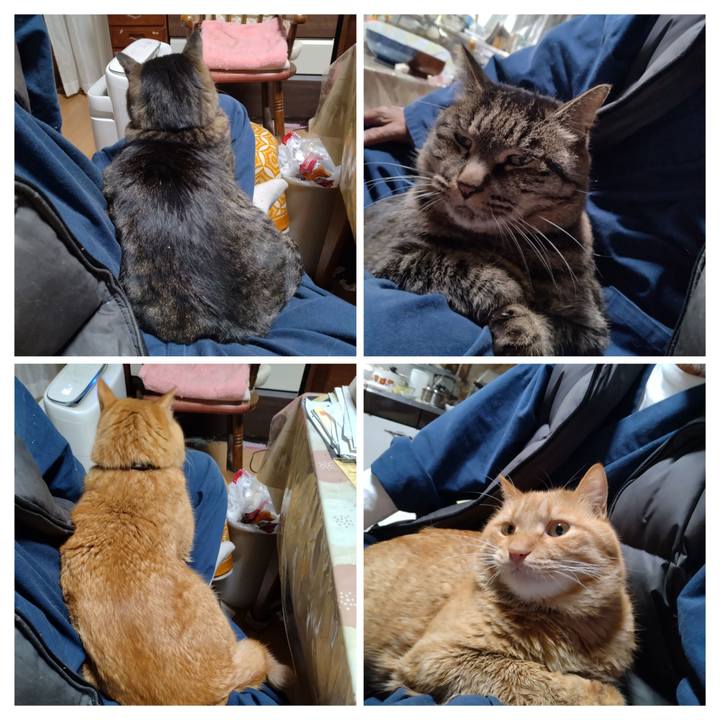 6499e4c5 b036 4b3c 8fb6 5675b4cfaf14 1703589800466