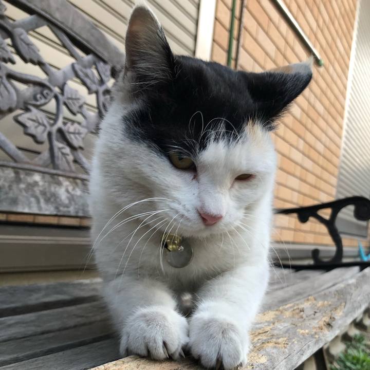 649a1962 7c8a 4870 a233 598fe68e1578 1614118552013