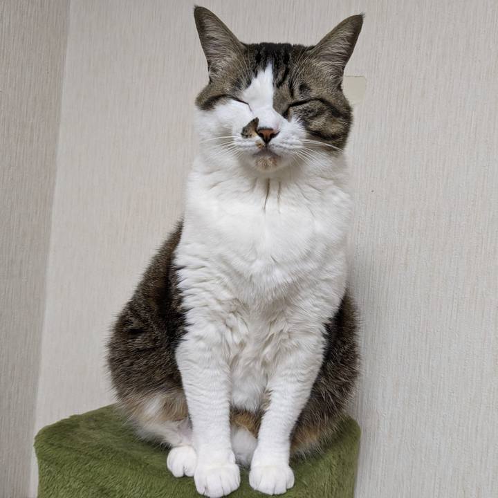 649a46da 2432 4932 a43b 32ce9e79a0b4 1707662318273