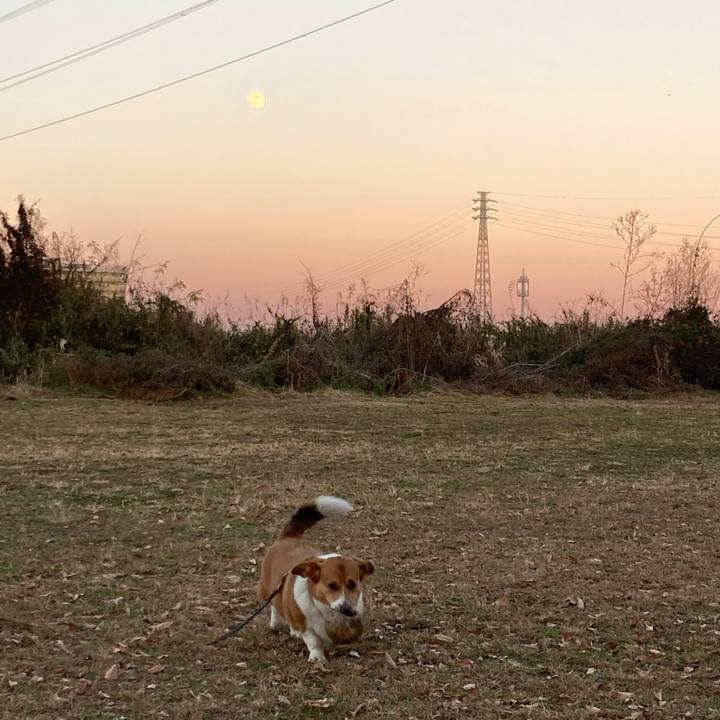 649a4904 a16e 4b59 88ca 277f34d9faf2 1703724278316