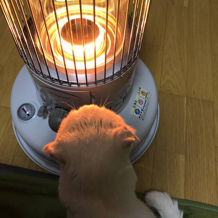 649a55d1 c320 4f7a a243 5e454ea50527 1517316806516