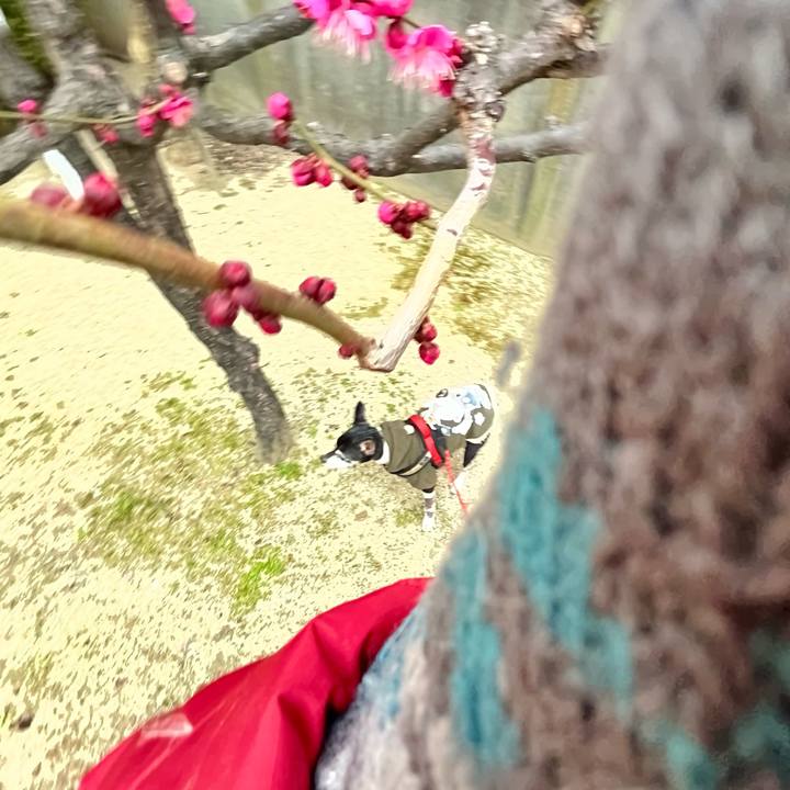 649a6de8 90b5 4373 8ca0 a8502d4f851d 1644714287623