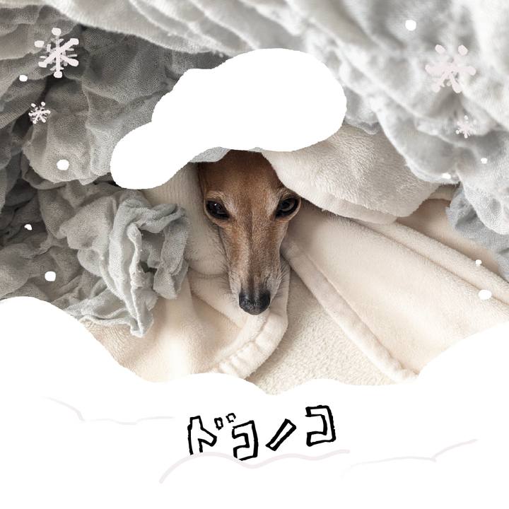 649a903e 17db 48d6 ae35 6e03a9f16484 1771897714027