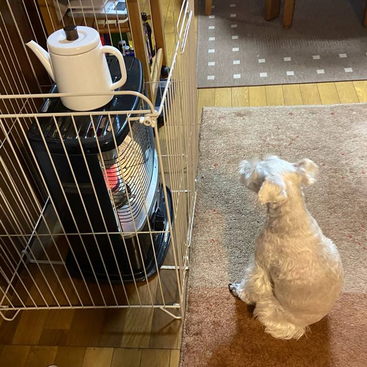 649a9051 145f 47da a8a7 496494ada36c 1768633605872