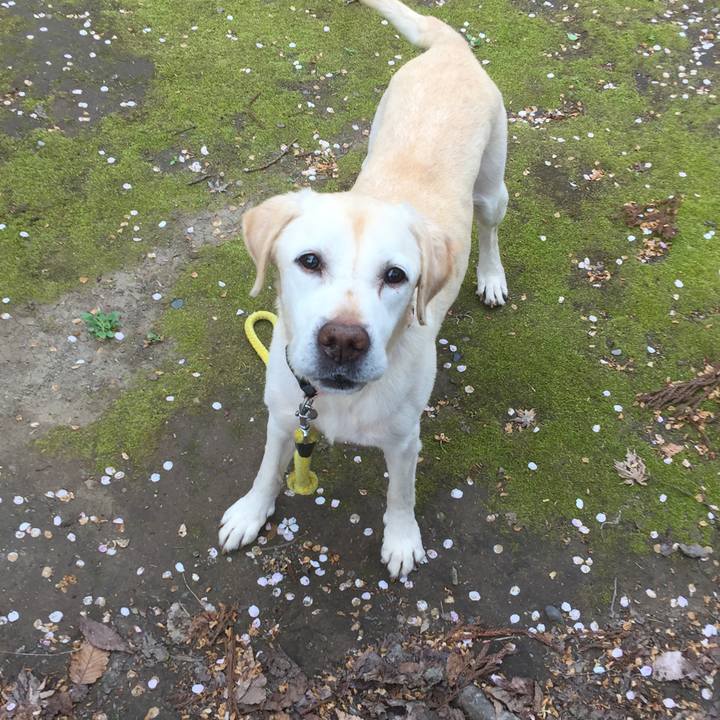 649b0a6c 610f 4876 886a cc47e27caf64 1575198056215