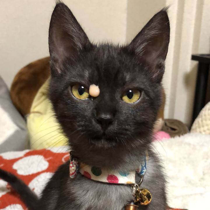 649b121a e8dd 4967 ae13 9bdedf30707c 1607952358578