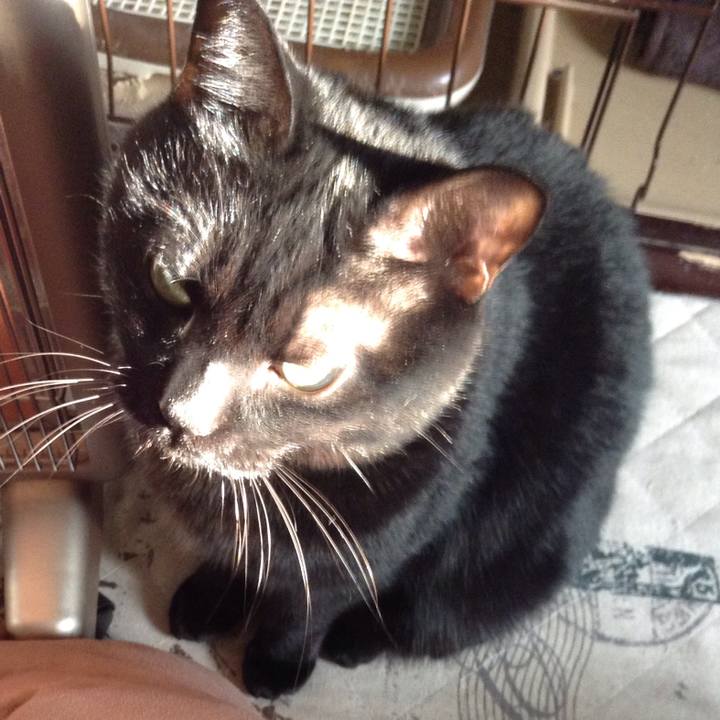 649b1434 7f63 4362 b75e 12ab8f1693b0 1518854599652