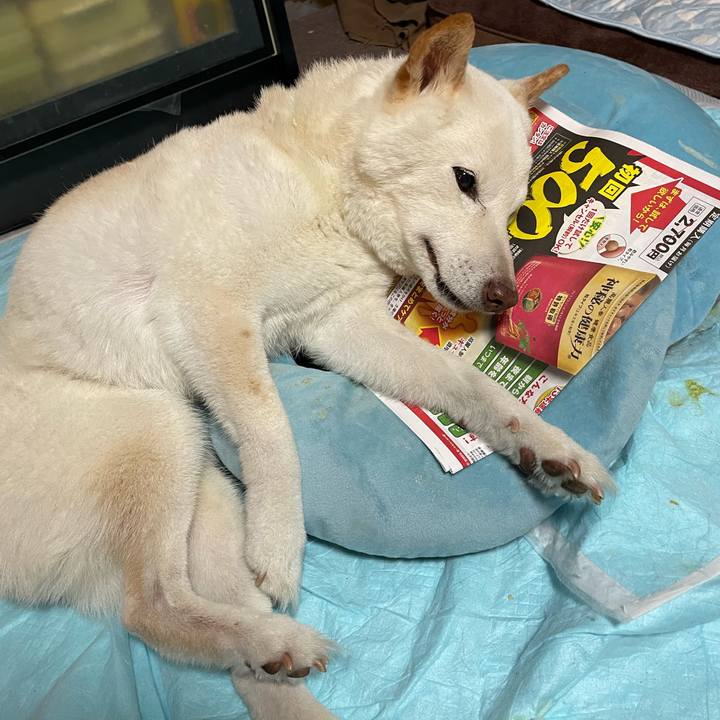 649b15d4 489e 495f 9fb9 18c4449eb82d 1652960544812