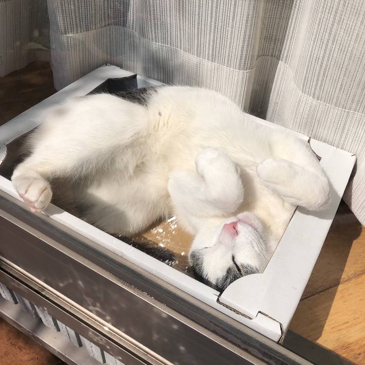 649b8452 5158 4b12 bc34 4fad02c2e61b 1616476291802