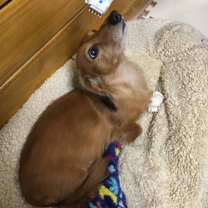 649b8dbd 3477 40ec a57a c14ff568a4eb 1583581884407