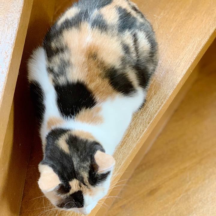 649b9dd7 91f8 493f 83e1 06fa07929d40 1540521733731