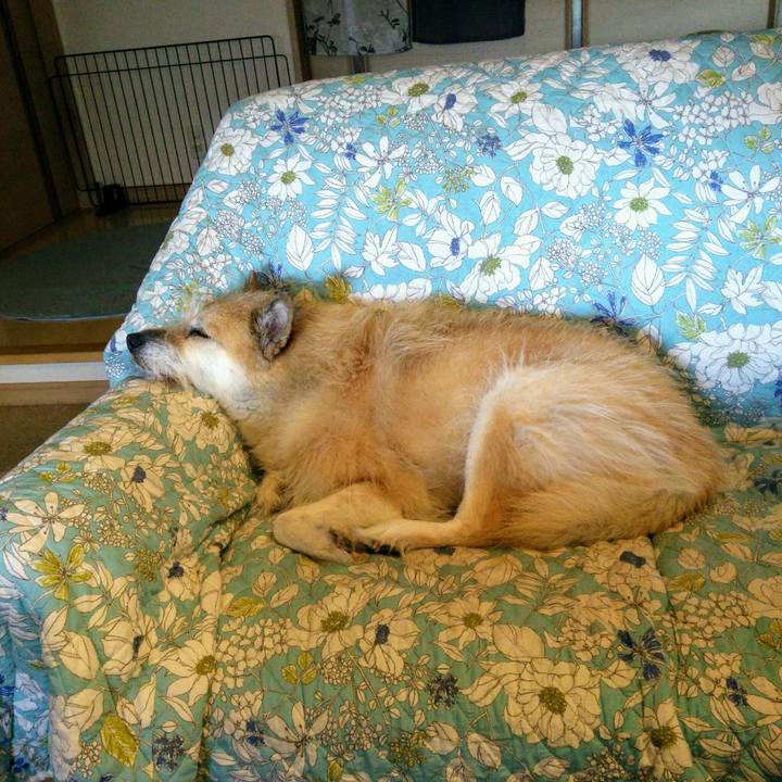 649ba717 c3dc 447a 9bbf 50ef89f8d2a7 1509326714034