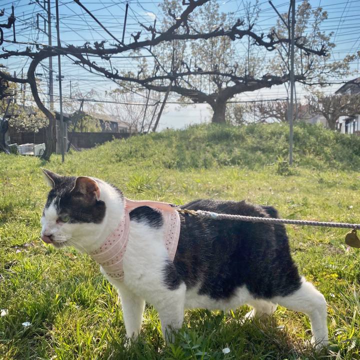 649bd25a e688 4dd2 9e3d f7ae2ab615a9 1586423616992