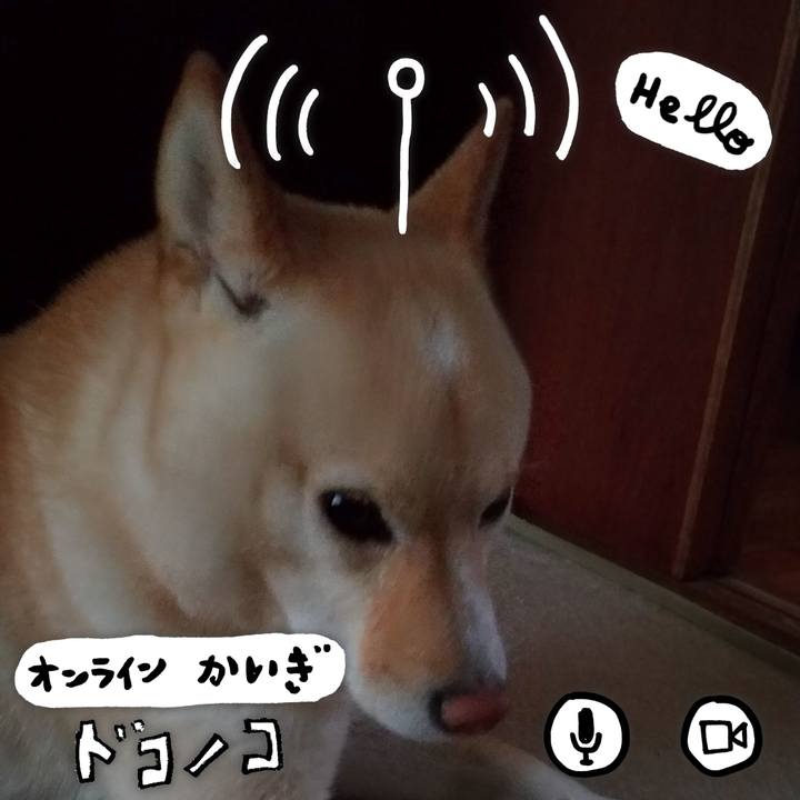 649bd3c7 442b 4d36 989a 7f835f4ea69d 1593812390528